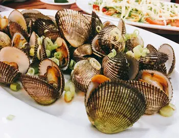 Sò hấp